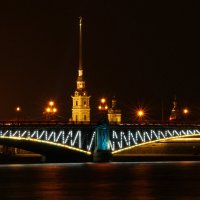 Вид на Троицкий мост и Петропавловский собор. :: Михаил СПб -