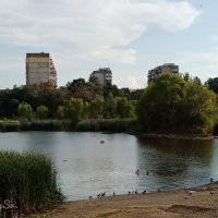 Затерявшееся озеро :: Светлана Баталий