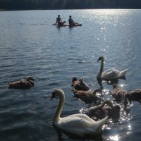 На озере под Великими Луками... Не нужен нам берег турецкий... :: Владимир Павлов