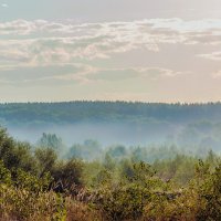 В дымке тумана.. :: Юрий Стародубцев