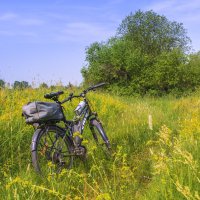 ...В глухих лугах его остановлю. :: Сергей Цветков