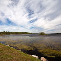 Озеро Линдозеро (Карелия). :: Николай Тренин