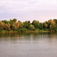 Волго-Каспийский пейзаж. :: Александр Владимирович Никитенко