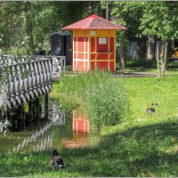 В Гатчинском парке. :: Любовь Зинченко 