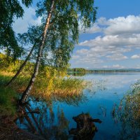 Летним днём у озера :: Алексей Мезенцев