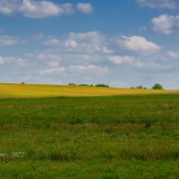 Пейзаж :: Александр Синдерёв