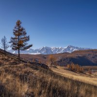 Северо-Чуйский хребет :: Виктор Четошников