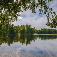 Озеро в лесу :: Андрей Дворников