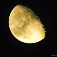 Убывающая луна в ночном небе. :: Валерьян Запорожченко