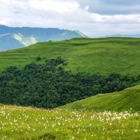 Летние мотивы :: Наталья Димова