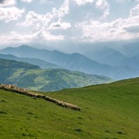 В горах Дагестана :: Наталья Димова