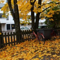 Осень в Лаппеенранте (Финляндия) :: Наталья Голдина