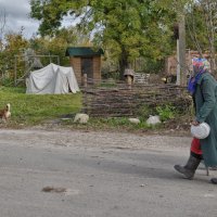 Чужая жизнь проходит стороной... :: Ирина Данилова