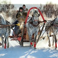 Тройка :: Владимир Сковородников