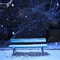 Первый снег :: Павел Каморных
