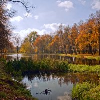 в парке :: Виктория Колпакова