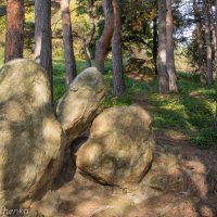 Серые камни. :: Виктор Лавриченко