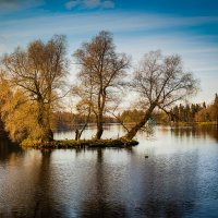 Осень на озере. :: Vladimir Kraft