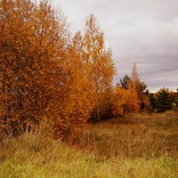 Осень :: Екатерина Миронова