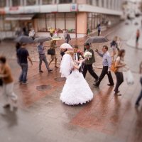 wedding :: СВЕТЛАНА ЛЕБЕДЬ