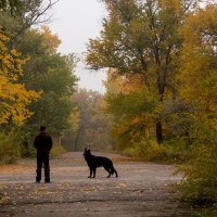 Стойка :: Виолетта Петровская