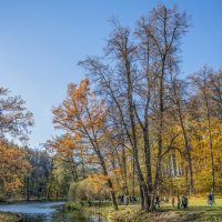 Золотая осень в Царицино :: Виктор Тараканов