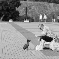 Мужчина с собачкой :: Юрий Дьяков