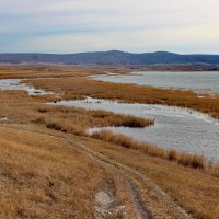 Осень припорошенная снегом. :: Наталья Юрова