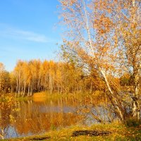 Отражение в воде :: Сергей Банков