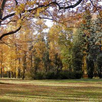 Осень в парке Аркадия :: Любовь Изоткина