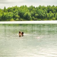 love in the lake :: Наталия Ботвиньева