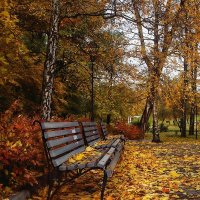 Осенний парк :: ovena 
