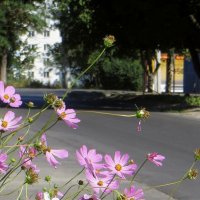 Заканчивается жаркий август :: Татьяна Смоляниченко