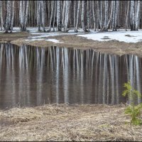 Апрель :: vedin 