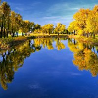 Осень с отражением :: Mikhail Irtyshskiy