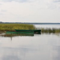 Ярославская область. Переславль-Залесский. :: Наташа *****