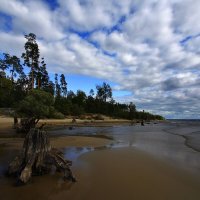 Сурское водохранилище :: Олег Денисов