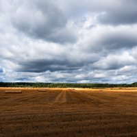 1 сентября. :: Владимир Безбородов