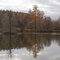 Осень :: Евгений Седов