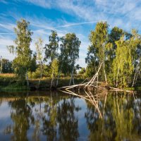 *** :: Владимир Безбородов