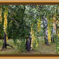 сентябрь :: Николай Староверов