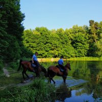 Купание почти красных коней :: Андрей Лукьянов