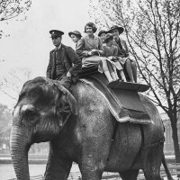 Елизавета с матерью и сестрой в Лондонском зоопарке 1939 год :: Лидия 