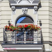 Красивые цветы на красивом балконе красивого дома на Мытнинской набережной Невы :: Стальбаум Юрий 