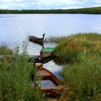 Тихое место... :: Нэля Лысенко