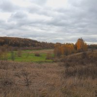 Осень Подмосковья. :: Евгений Седов