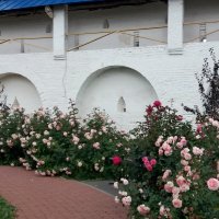 Вдоль стен монастыря :: Galina Solovova