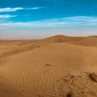 Аравийская пустыня :: Светлана Карнаух