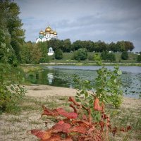 Палитра осенних листьев, на острове Даманском в Ярославле... :: Николай Белавин