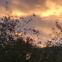 Осеннее небо :: Татьяна Юрасова
